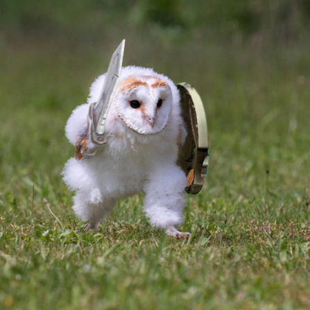 [owlsova] Авитолог 2025 (2025)_0.png